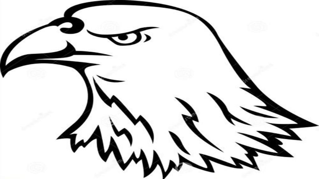 动物简笔画老鹰