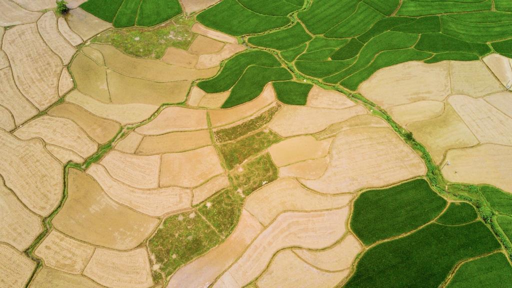 航拍田野清新护眼风景