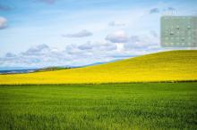 2019年3月唯美青山绿色护眼写真日历