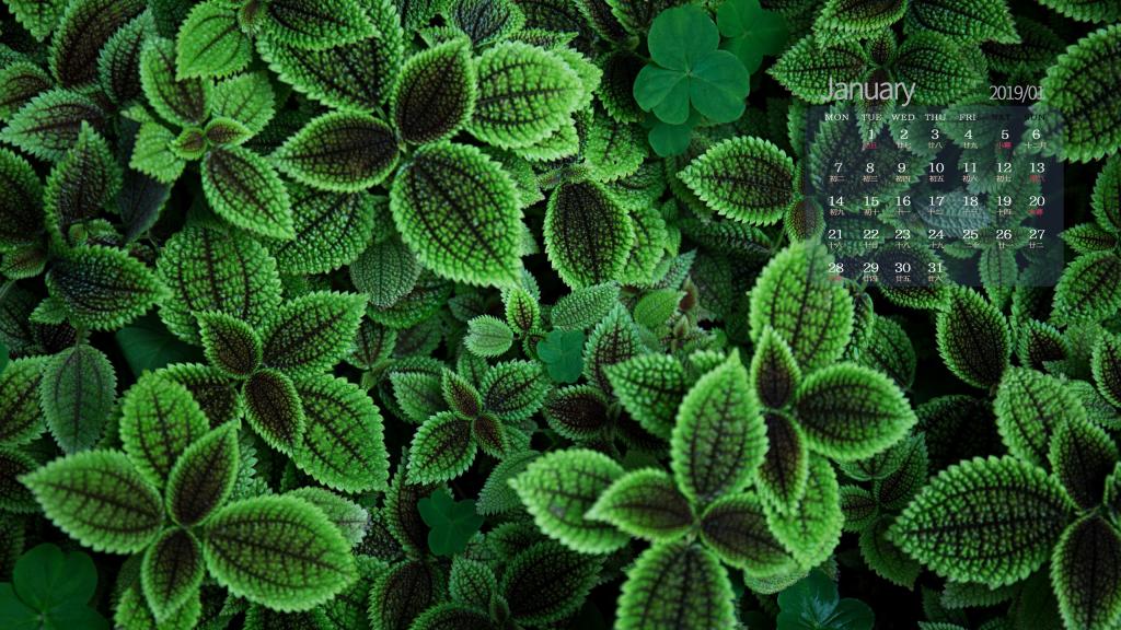 2019年1月满眼皆绿意日历
