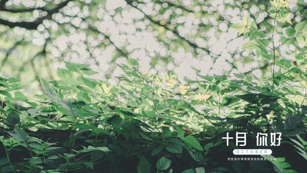 你好十月清新护眼朦胧绿植