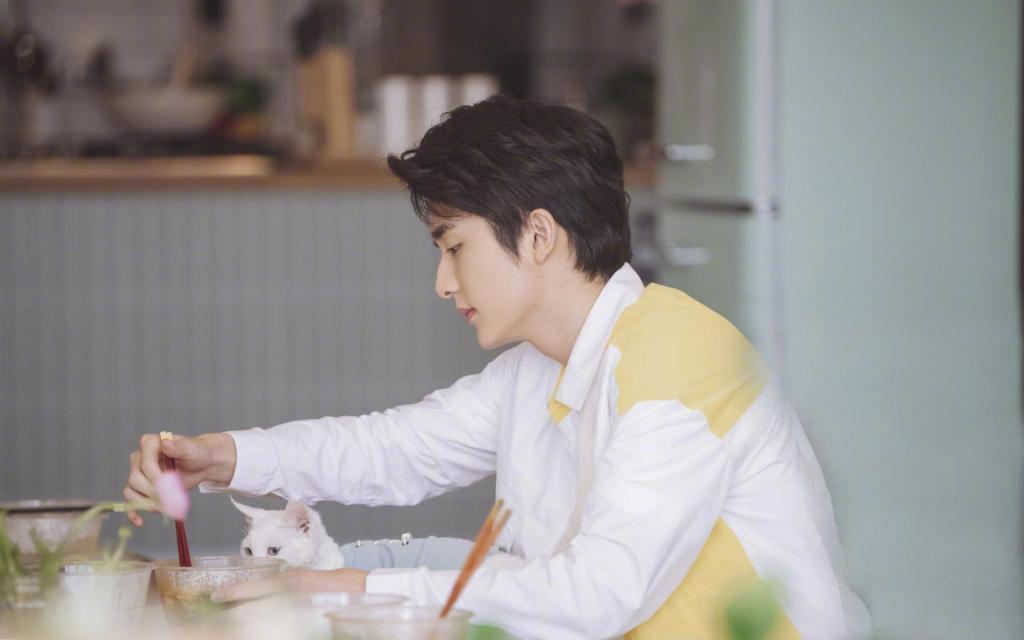 小鲜肉张新成阳光帅气小清新迷人写真