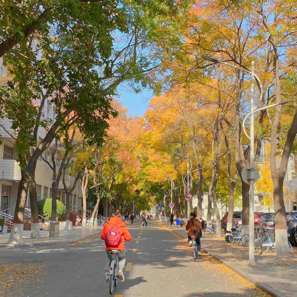 秋天清新迷人自然风光