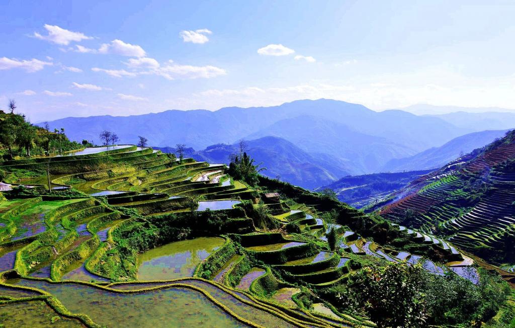 哈尼梯田唯美风光