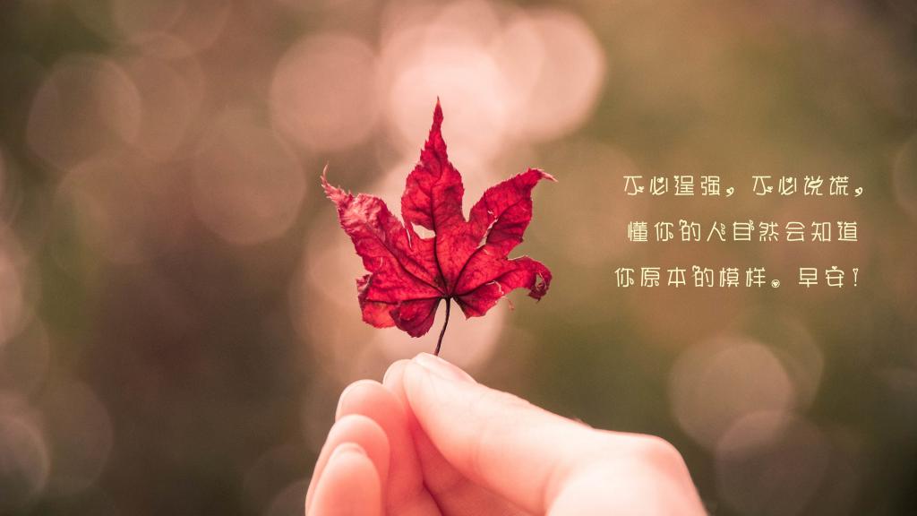 治愈系的早安心语集合