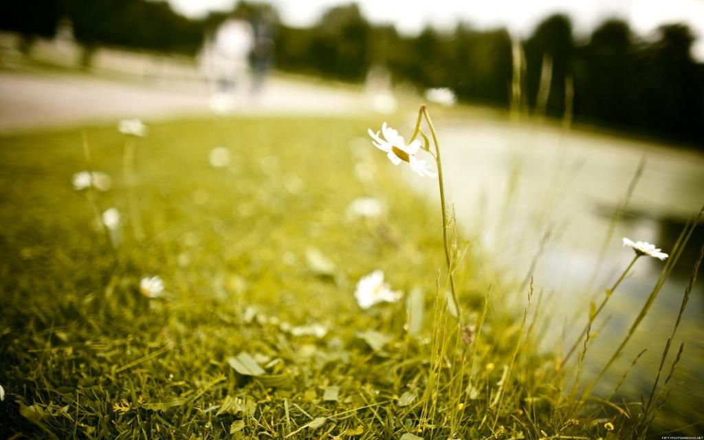 大自然唯美景观