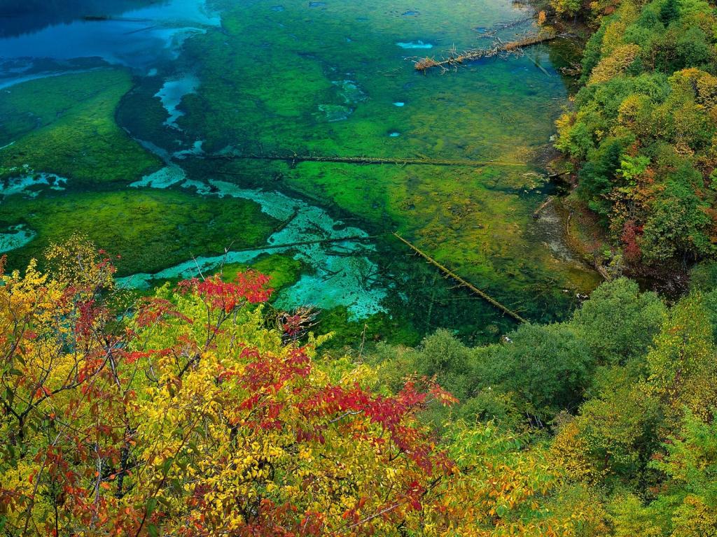雾蒙蒙山崖