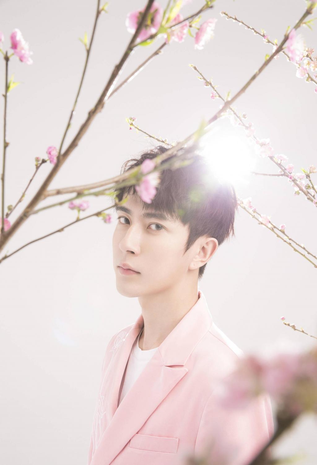 新晋小鲜肉于朦胧樱花树下唯美写真