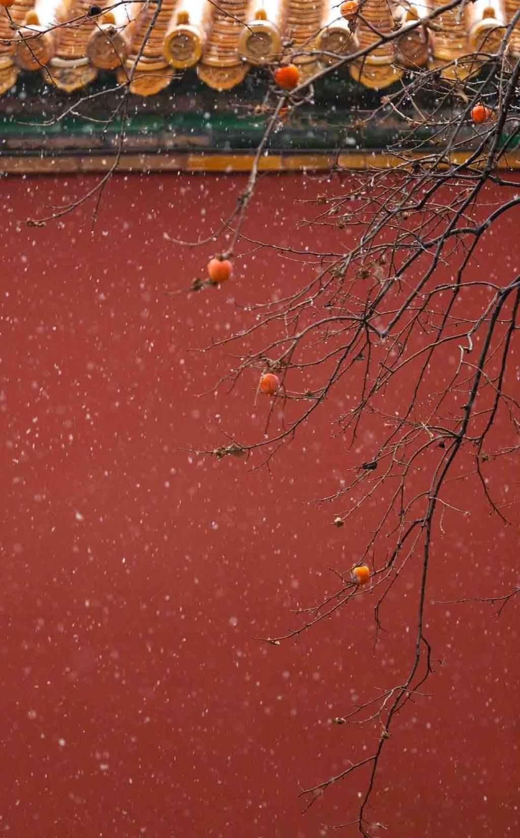 2020紫禁城的初雪