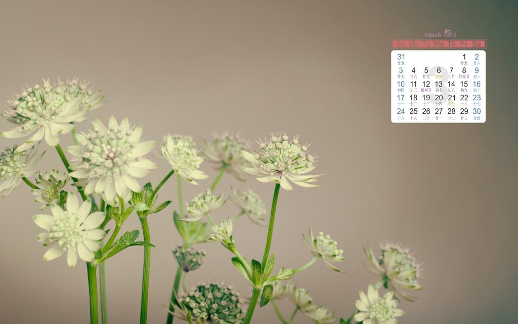 2019年3月小清新春天风景唯美写真日历