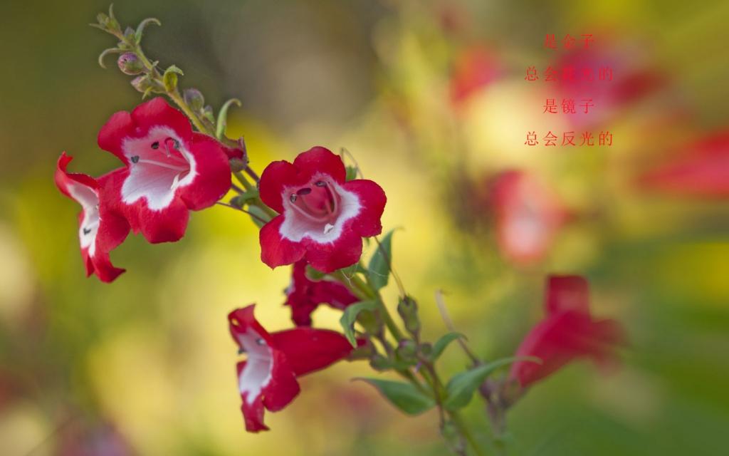 简短感悟人生的句子