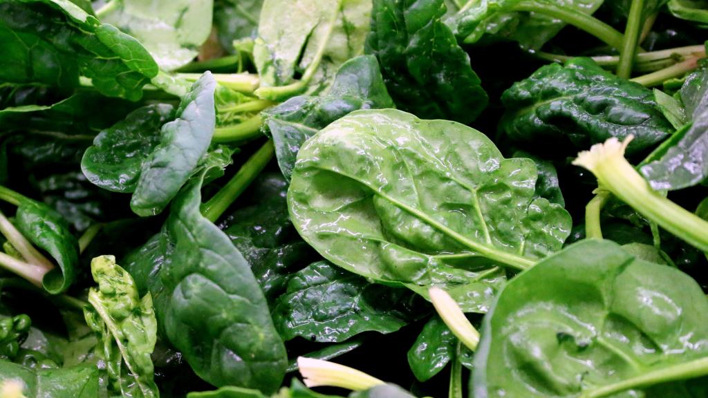 春天的蔬菜菠菜