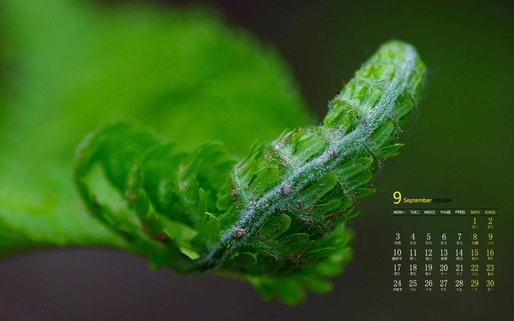 2018年9月绿色小清新植物写真日历
