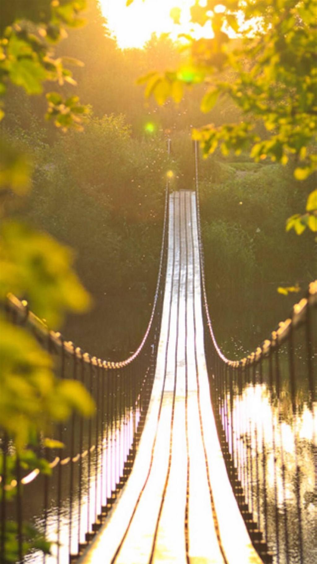 你站在桥上看风景