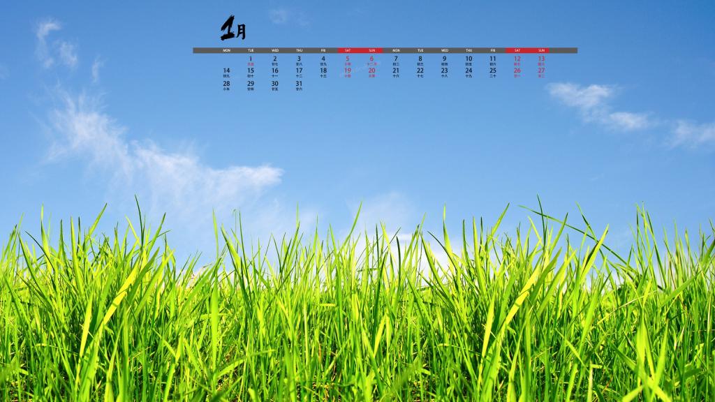 2019年1月小清新绿色植物护眼写真日历