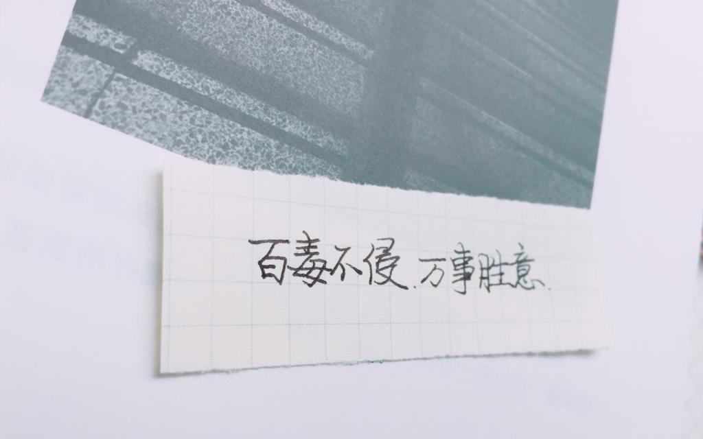 今日份手摘2020心愿