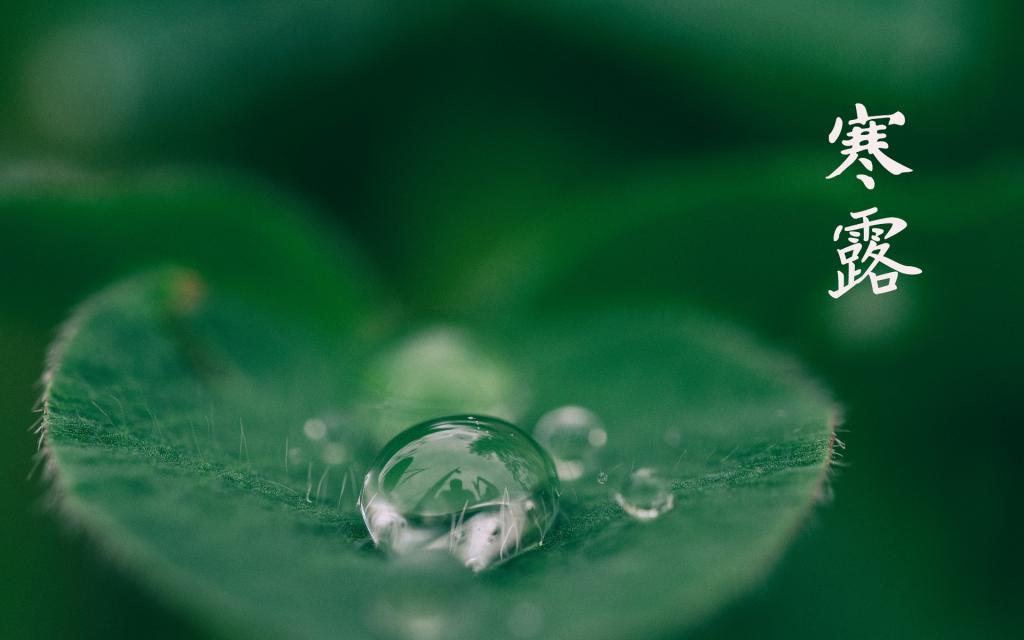 寒露时节的到来