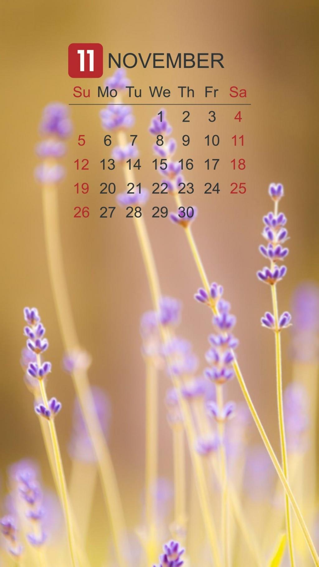 2017年11月唯美薰衣草日历