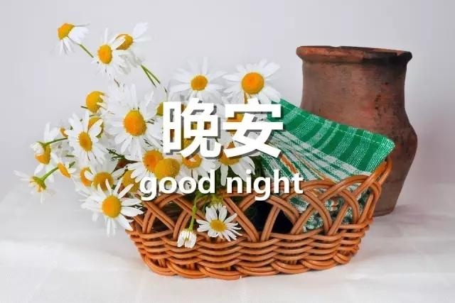 适合发朋友圈晚安一句话短句