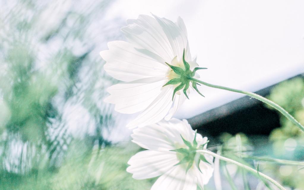 小清新蓝色风景