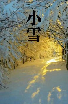 二十四节气小雪自然风光-5
