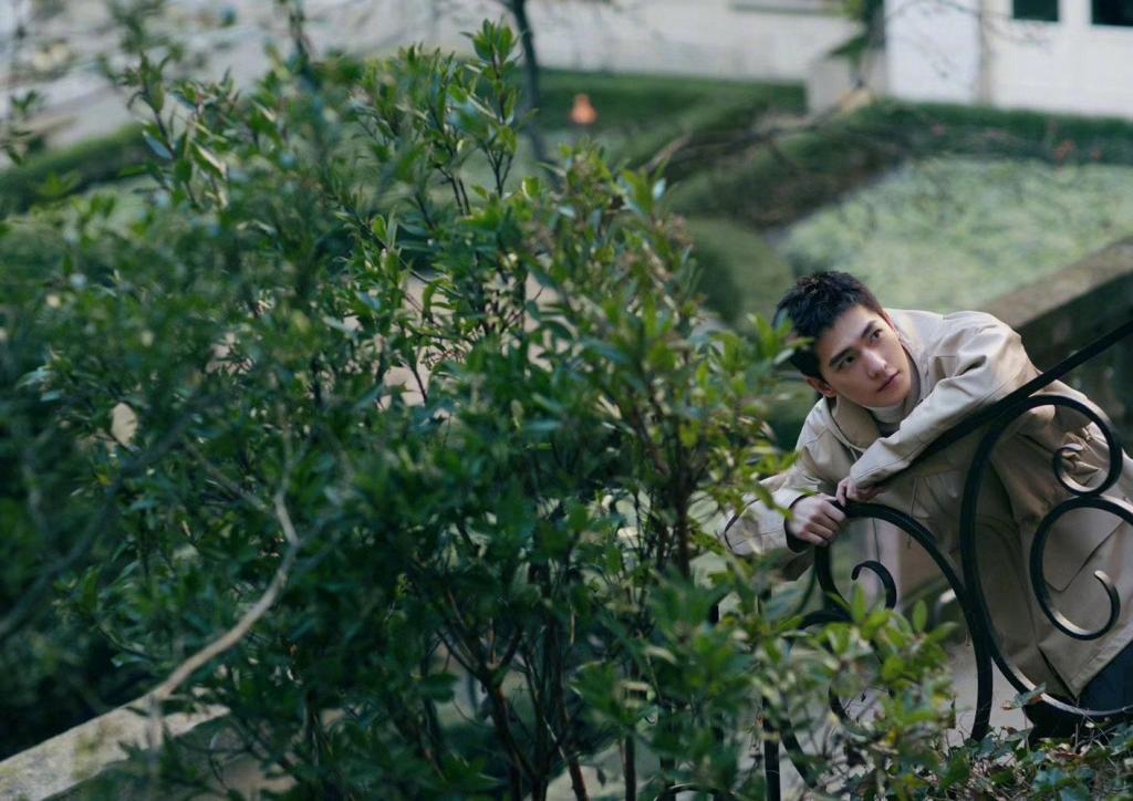 杨洋森林系男友风造型