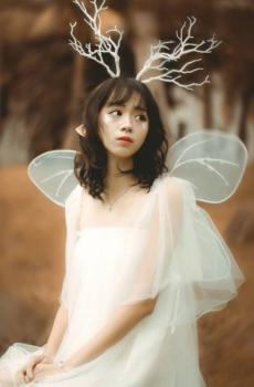 层林鹿仙子写真-6