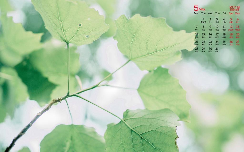 2018年5月绿色植物日历