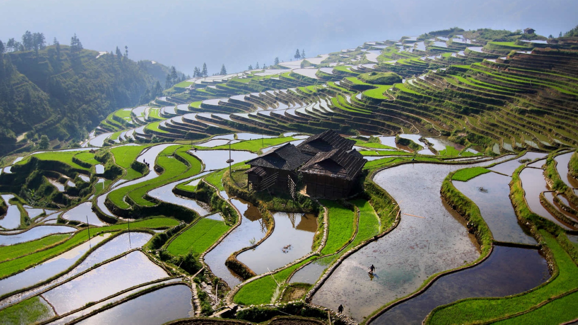 贵州加榜梯田自然风光