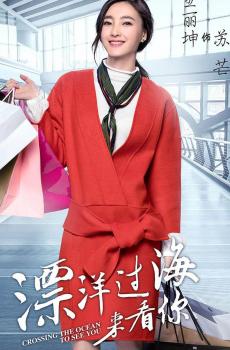 漂洋过海来看你海报