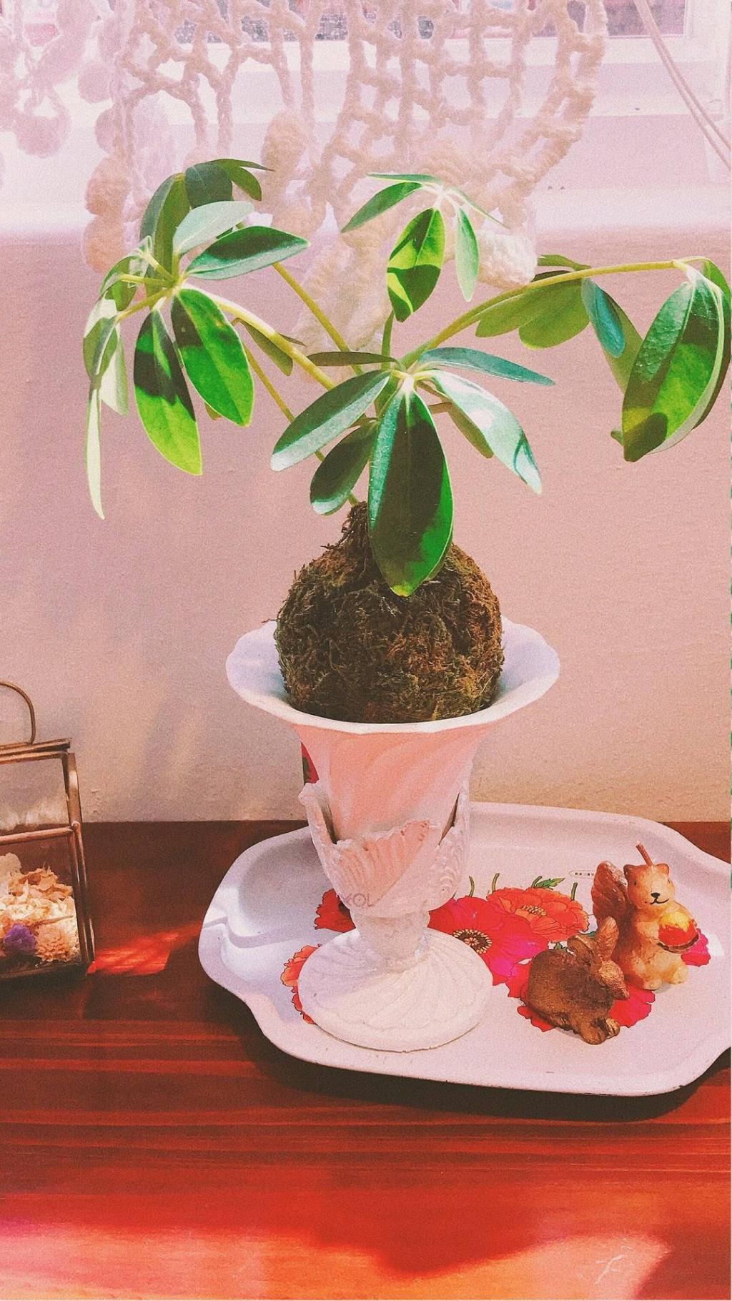 小清新少女粉色系静物