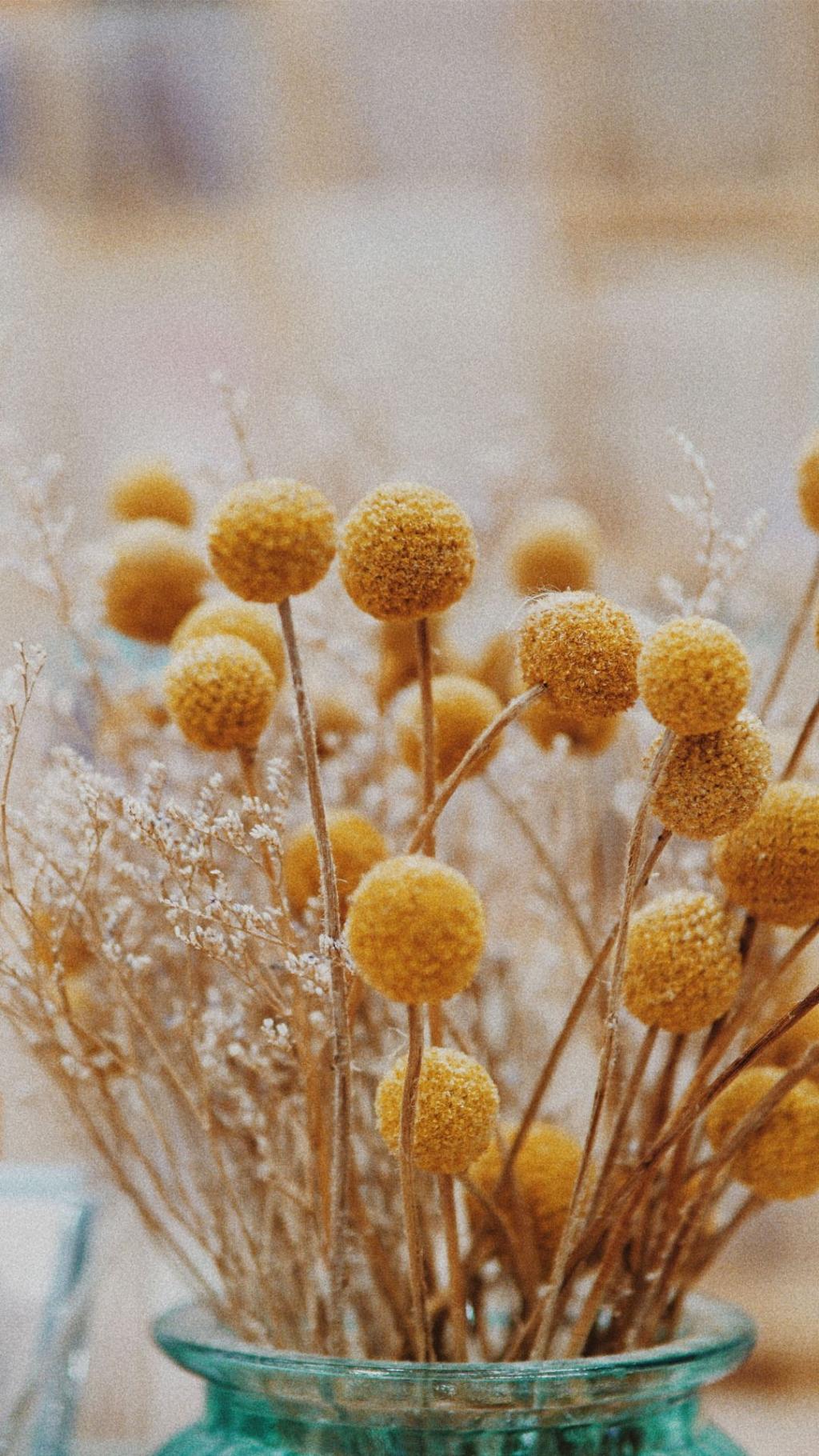 小清新静物唯美写真