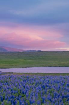 宁静惬意的大自然风光-2