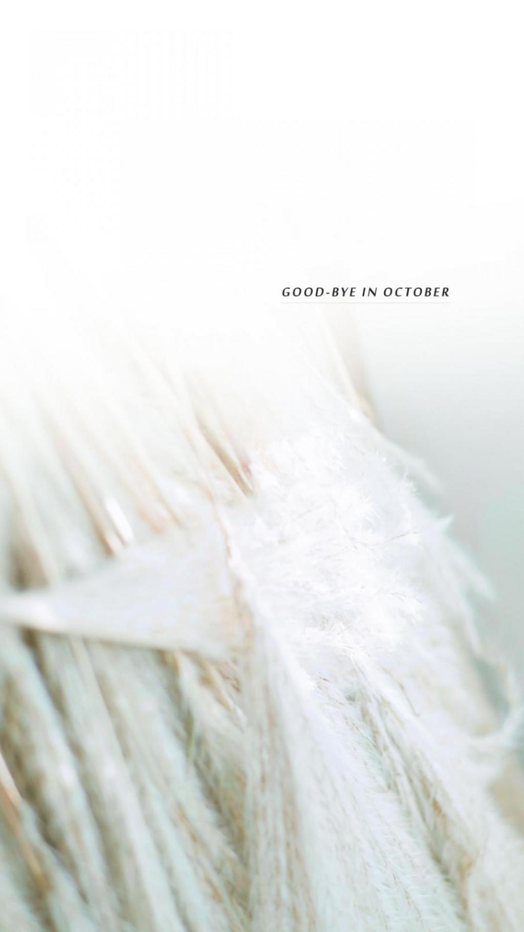 小清新十月再见英文简约风配图