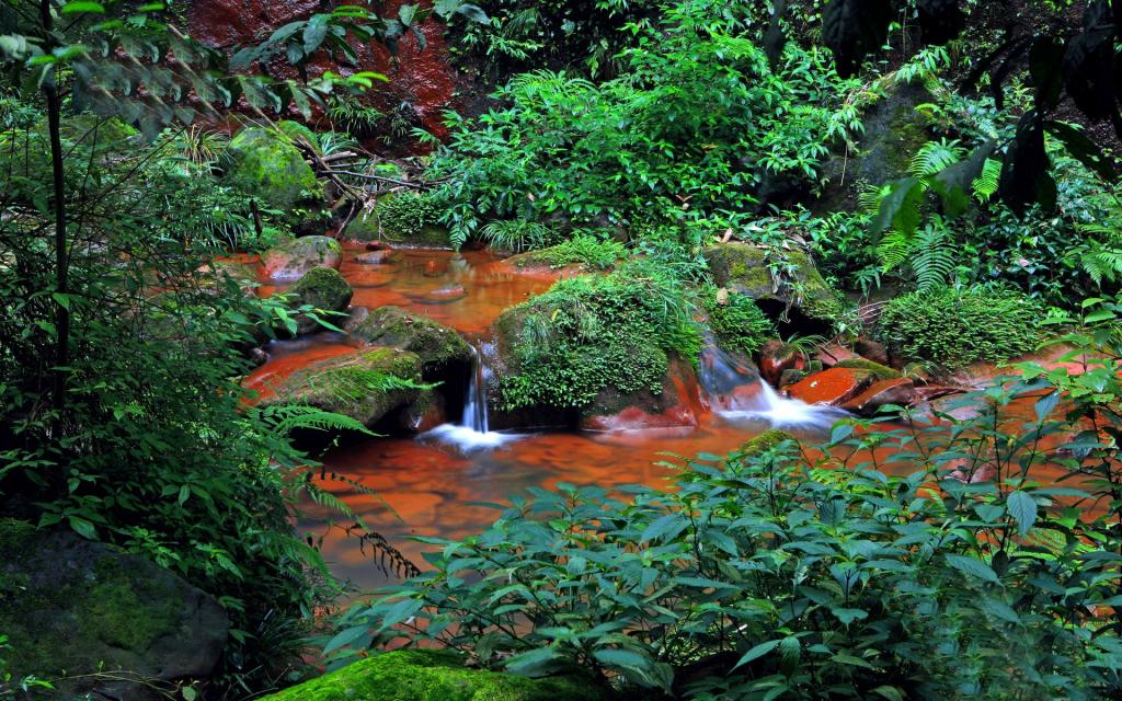 贵州赤水天柱峰佛光岩风景