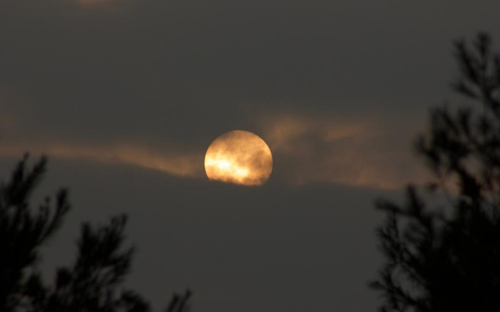 中秋节月圆之夜