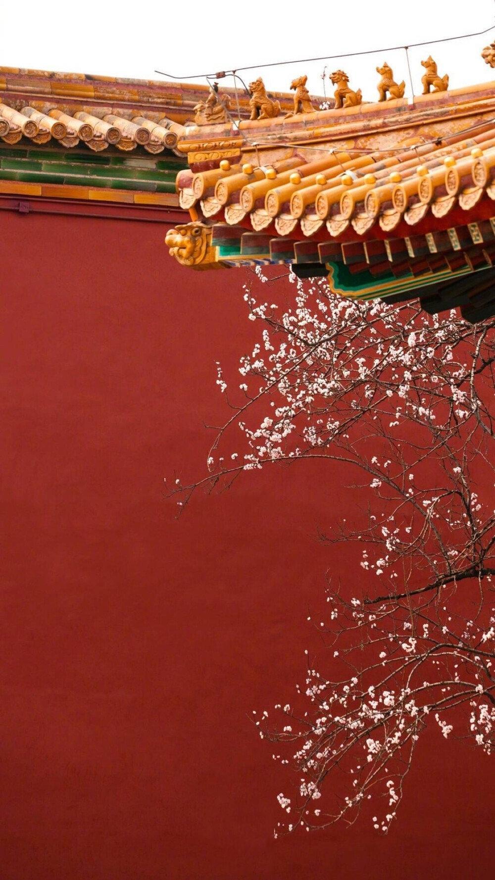 十一国庆节唯美紫禁城简约大气摄影