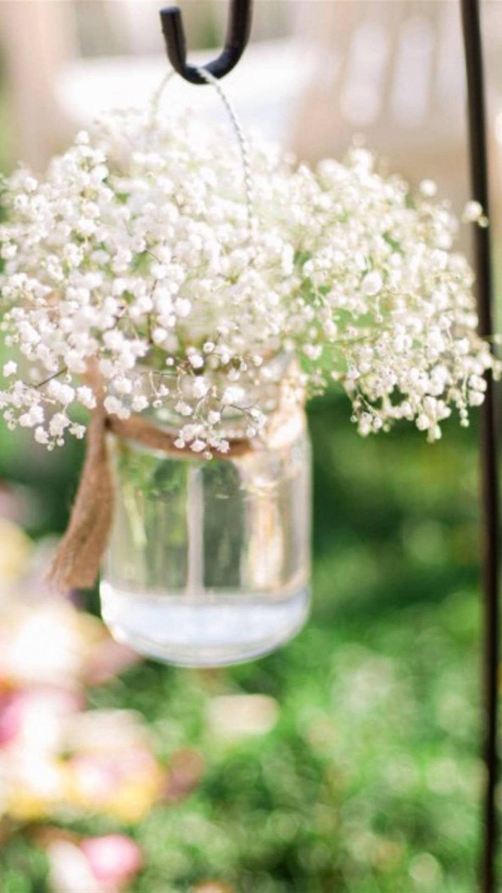 清新绿色护眼屏保