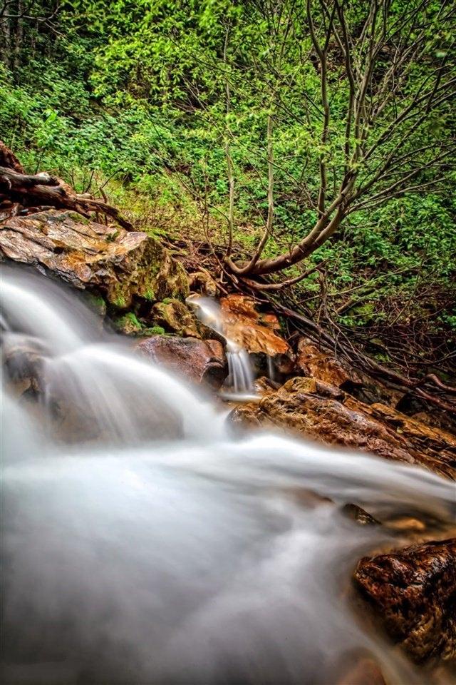 森林瀑布溪流自然风景