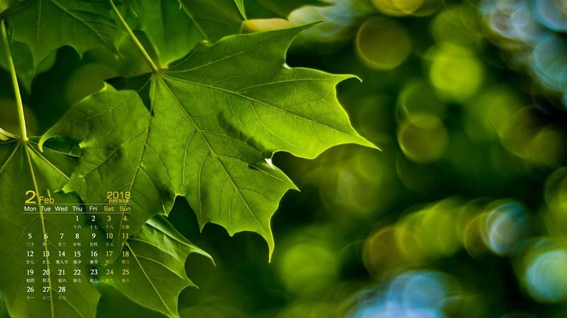2018年2月绿色清新护眼日历