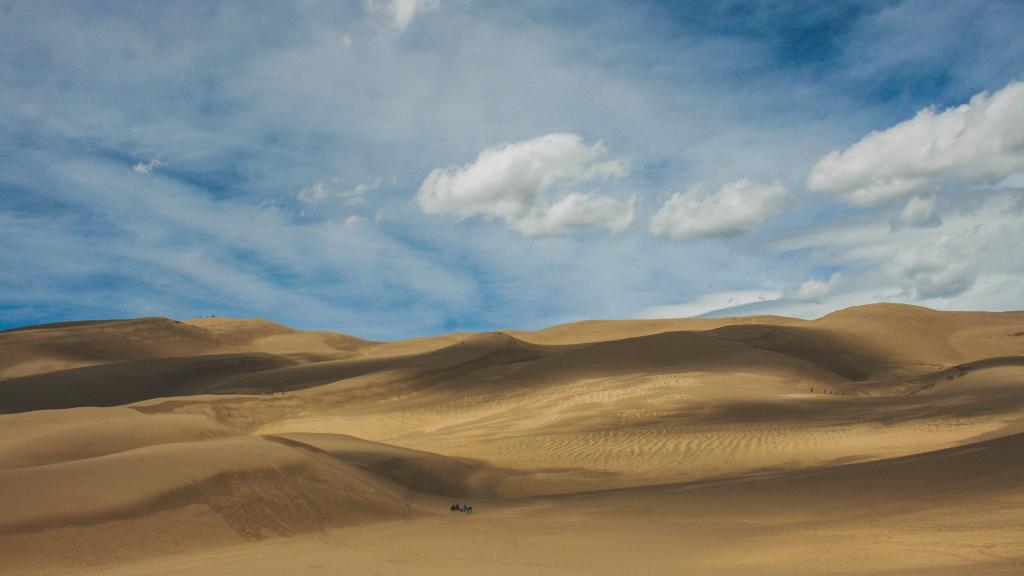 如同大海的沙漠