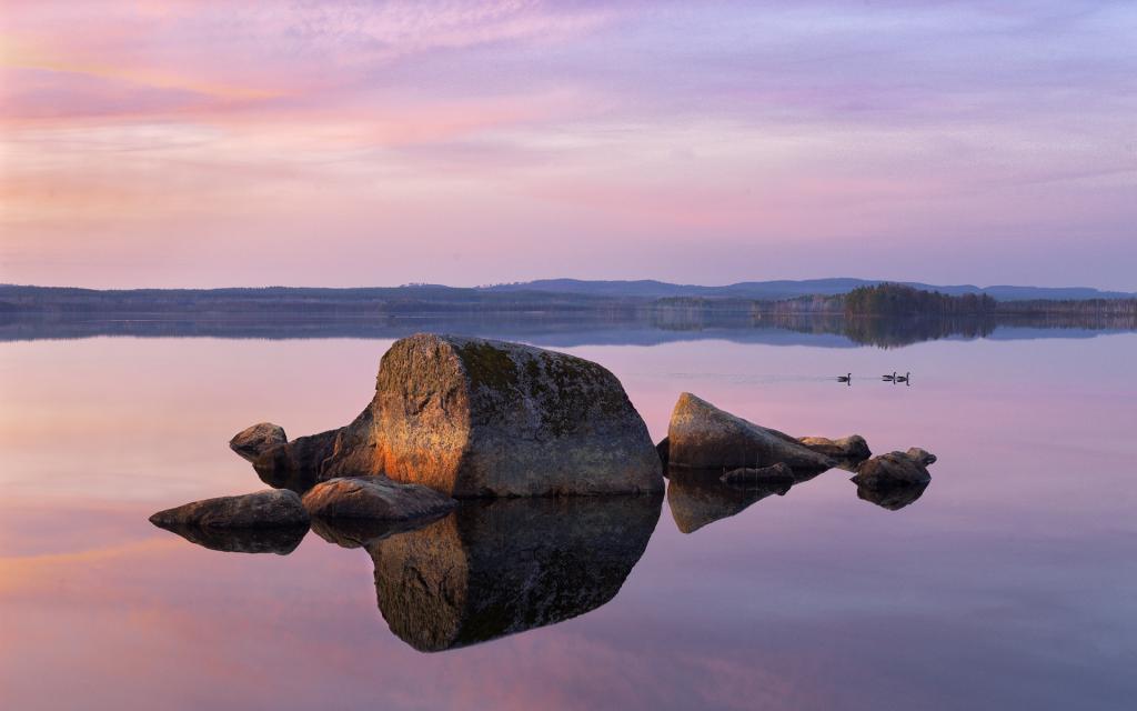 瑞典美丽的春天风景壁纸