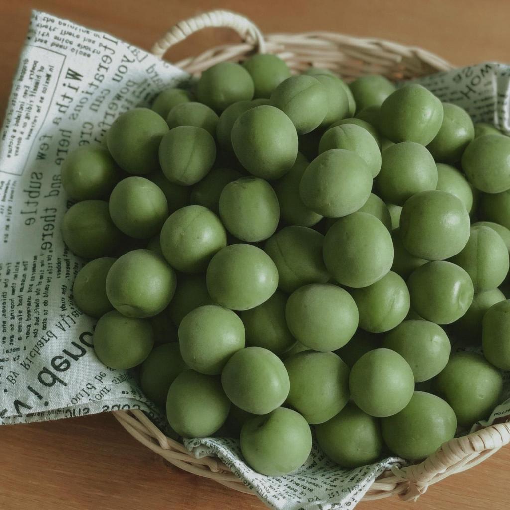 绿色系清新养眼摄影