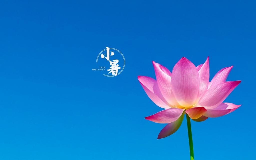 传统节气清新小暑