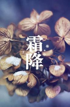 霜降来,冬将至-3