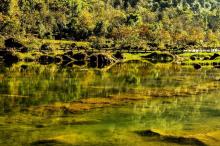 贵州小七孔唯美风光