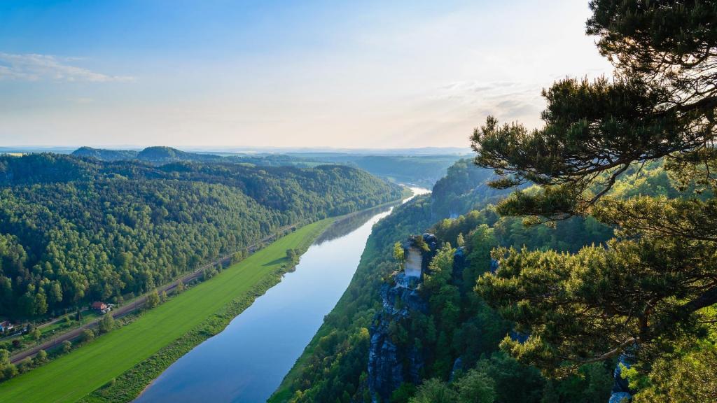 绿色护眼自然美景