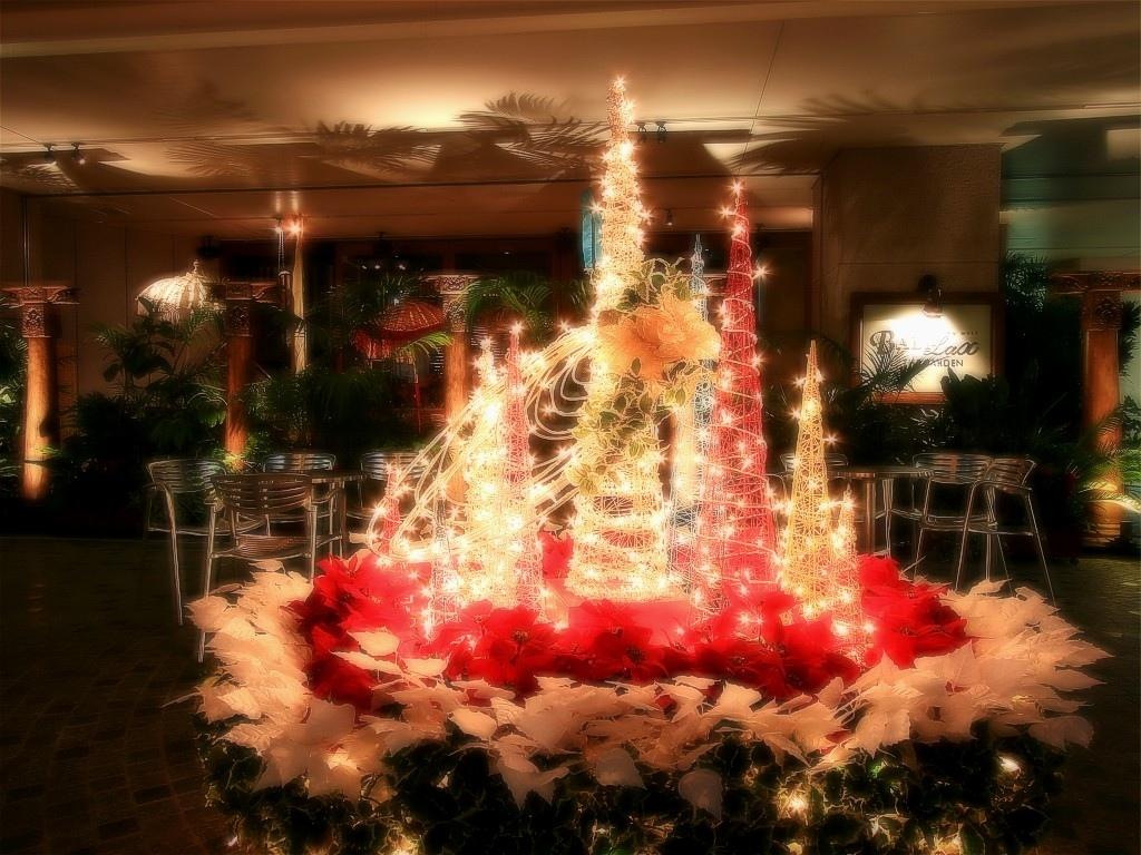 好看的圣诞夜景