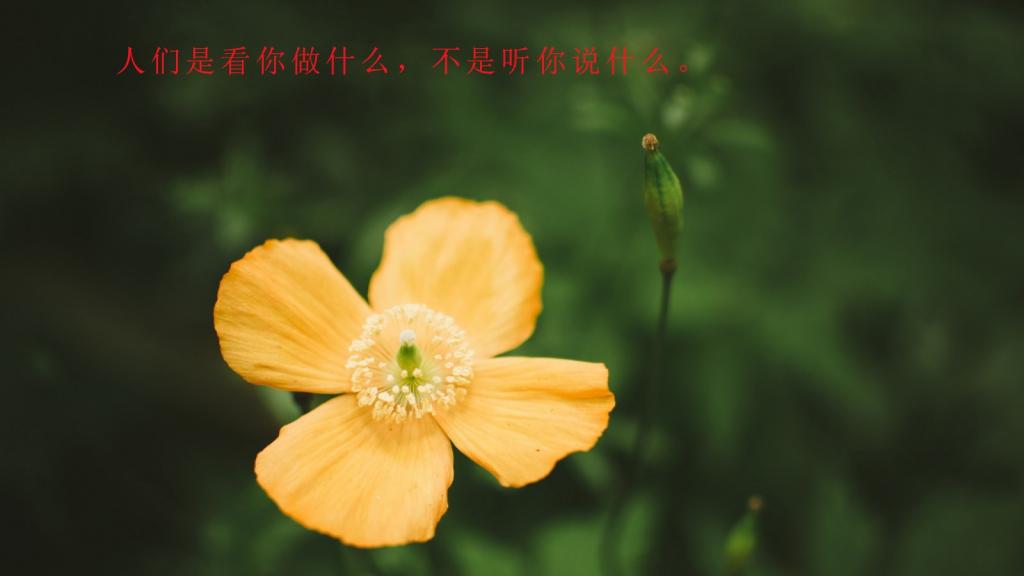 简短感悟人生的句子