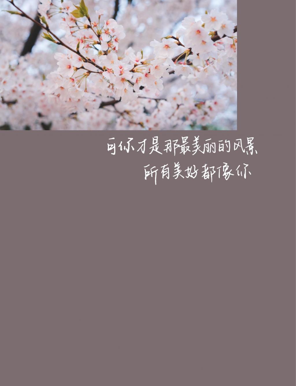 520那天的表白简约唯美创意文案